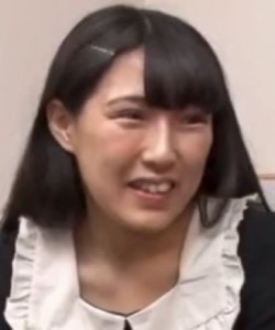 Sakurai Sakura (桜井さくら)
